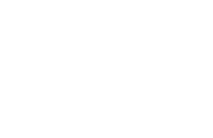 Nexus Logo